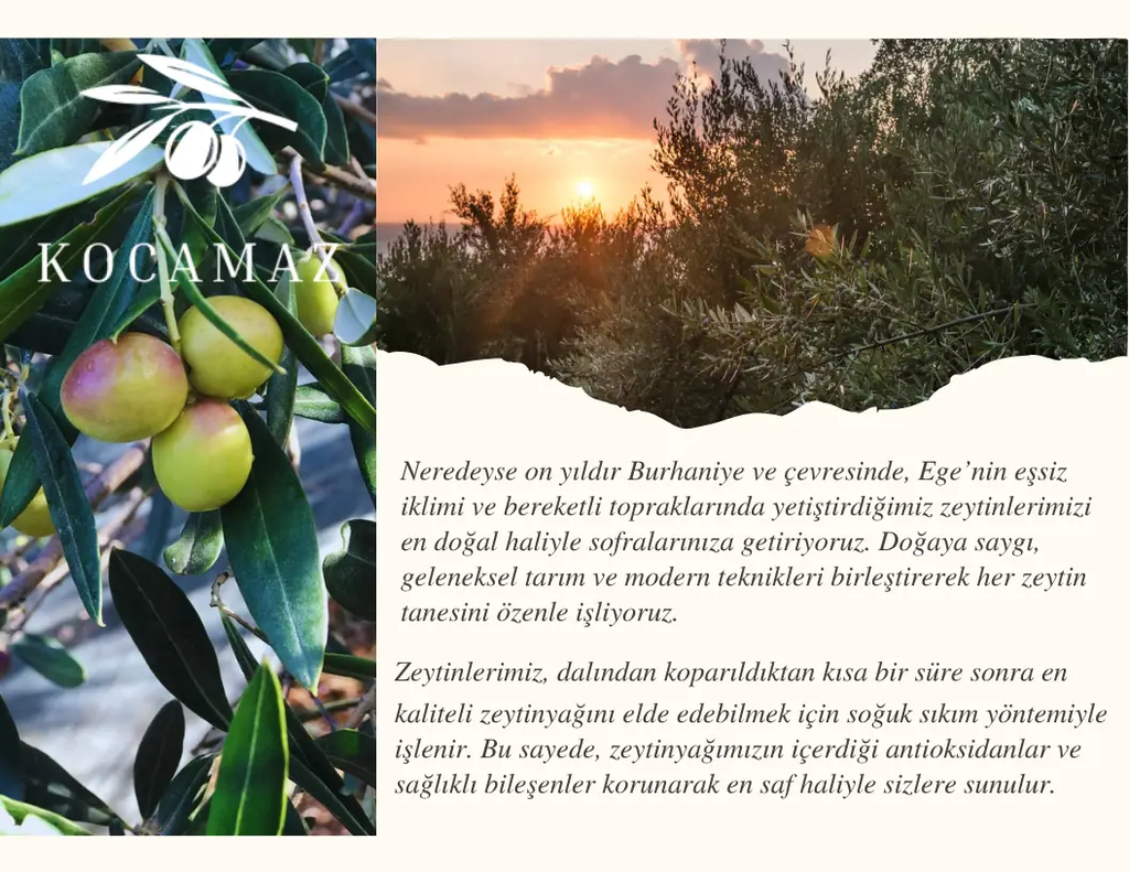 Soğuk Sıkım Sızma Kuzey Ege Bergama Doğal Zeytin Yağı 4 Litre