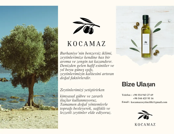 Soğuk Sıkım Sızma Kuzey Ege Körfez Doğal Zeytin Yağı - 5 Litre